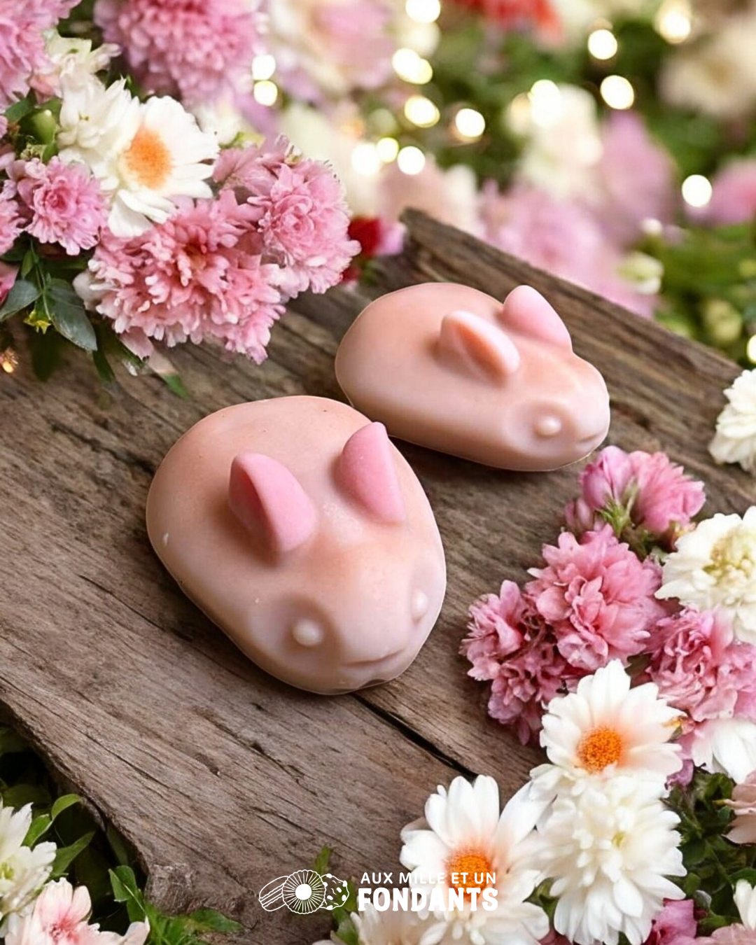 Lapin xxl "Rhubarbe fraise"