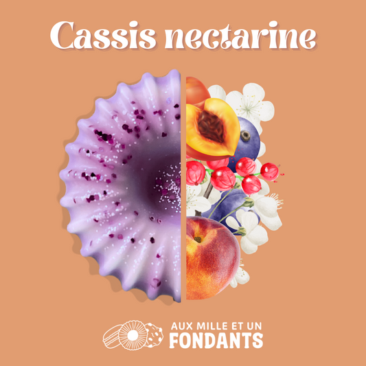Cassis nectarine