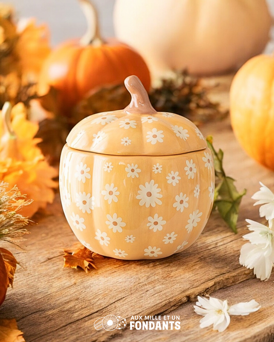 Citrouille à fleurs