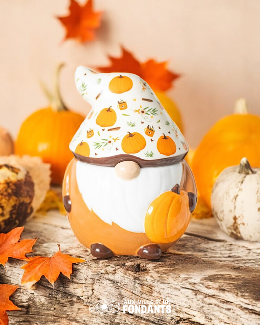 Gnome citrouilles