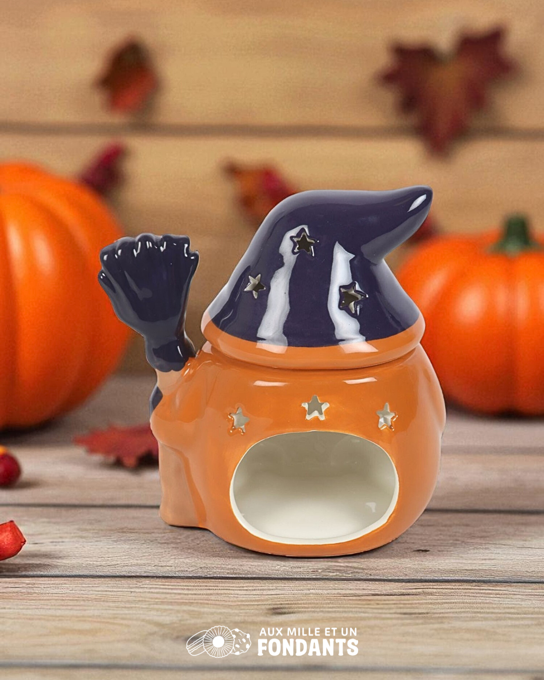Gnome sorcière