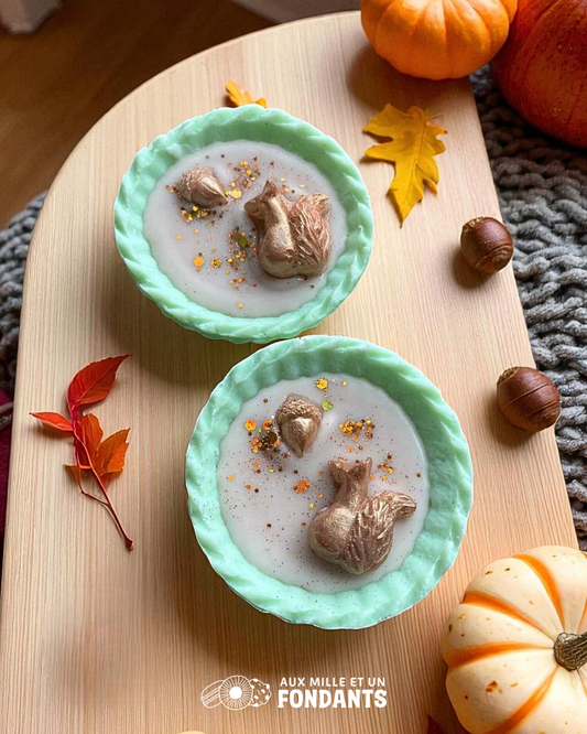 Tartelette balade en forêt