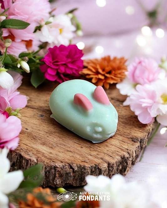 Lapin xxl "Baume du tigre"