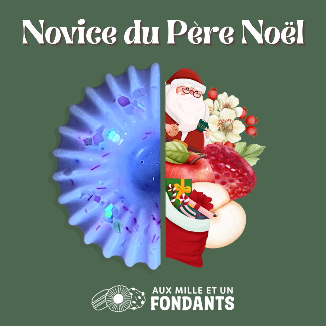 Novice du Père Noël