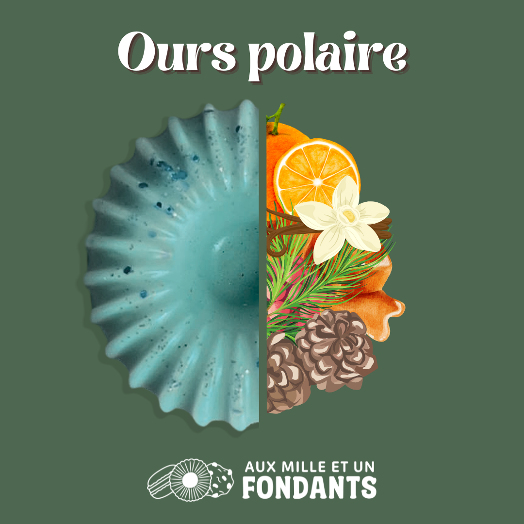 Ours polaire