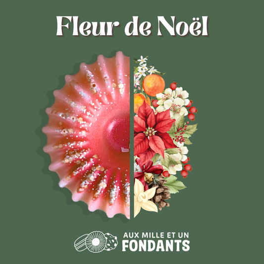Fleur de Noël
