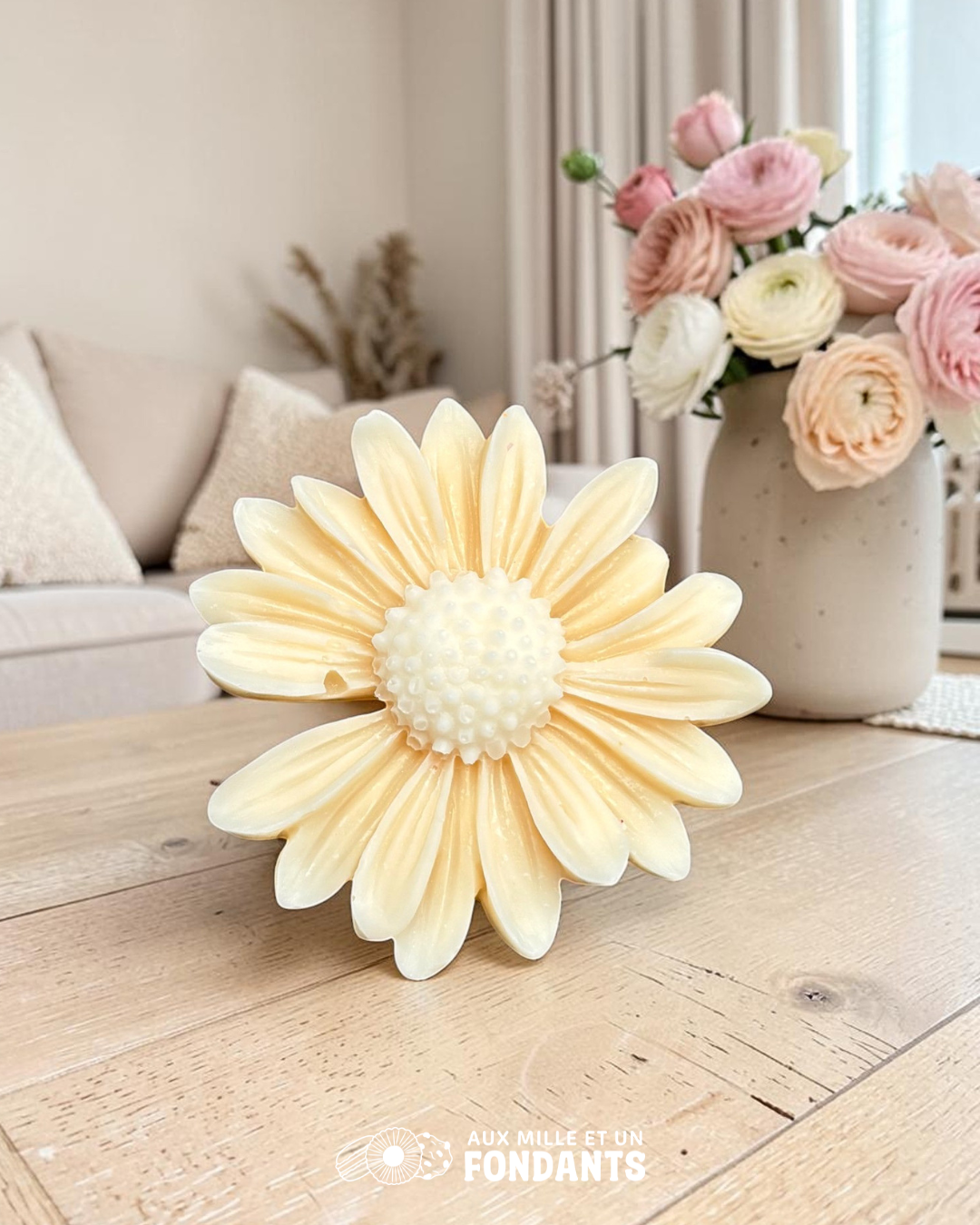 Marguerite : Géranium