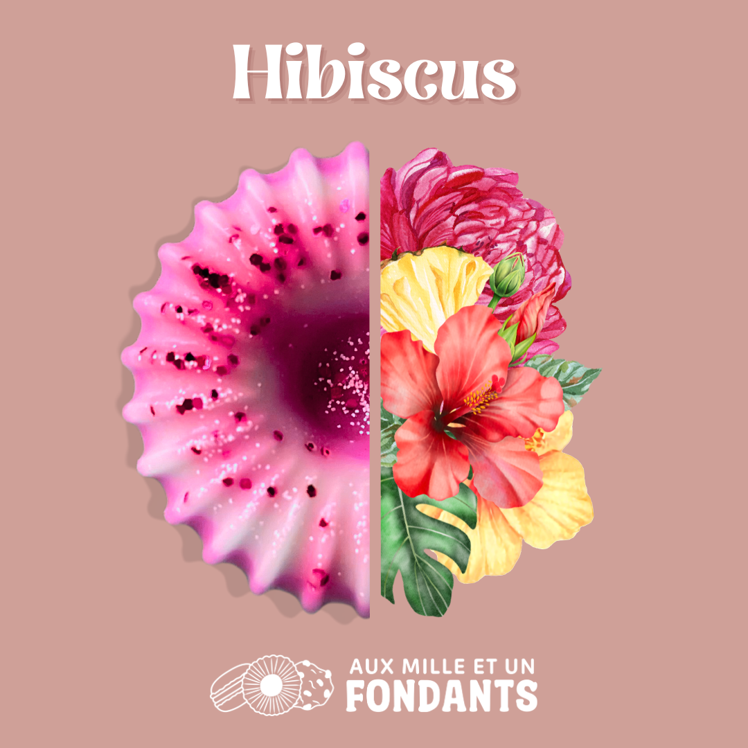 Hibiscus