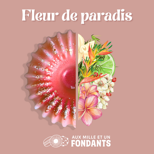 Fleur de paradis