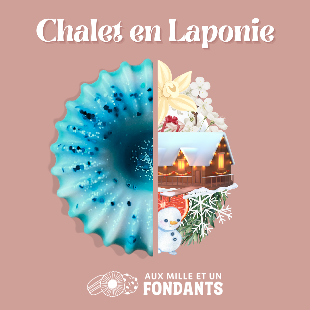 Chalet en Laponie