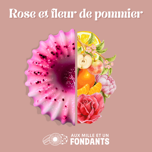 Rose et fleur de pommier