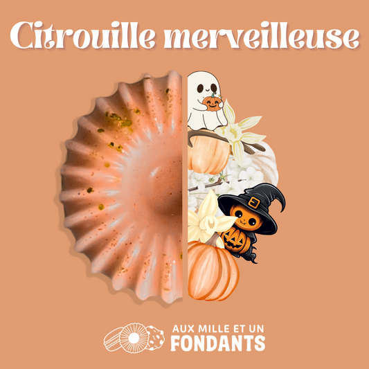 Citrouille merveilleuse