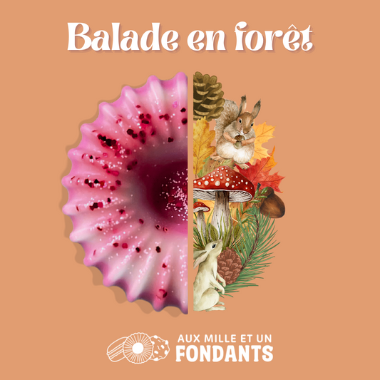 Balade en forêt