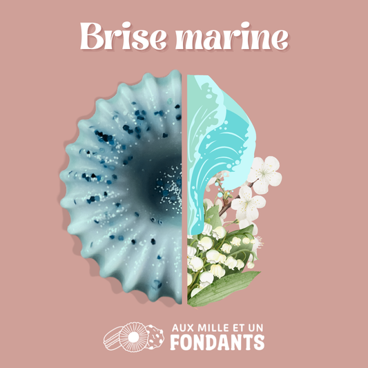 Brise marine