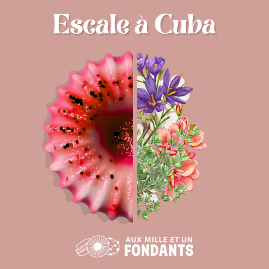 Escale à Cuba