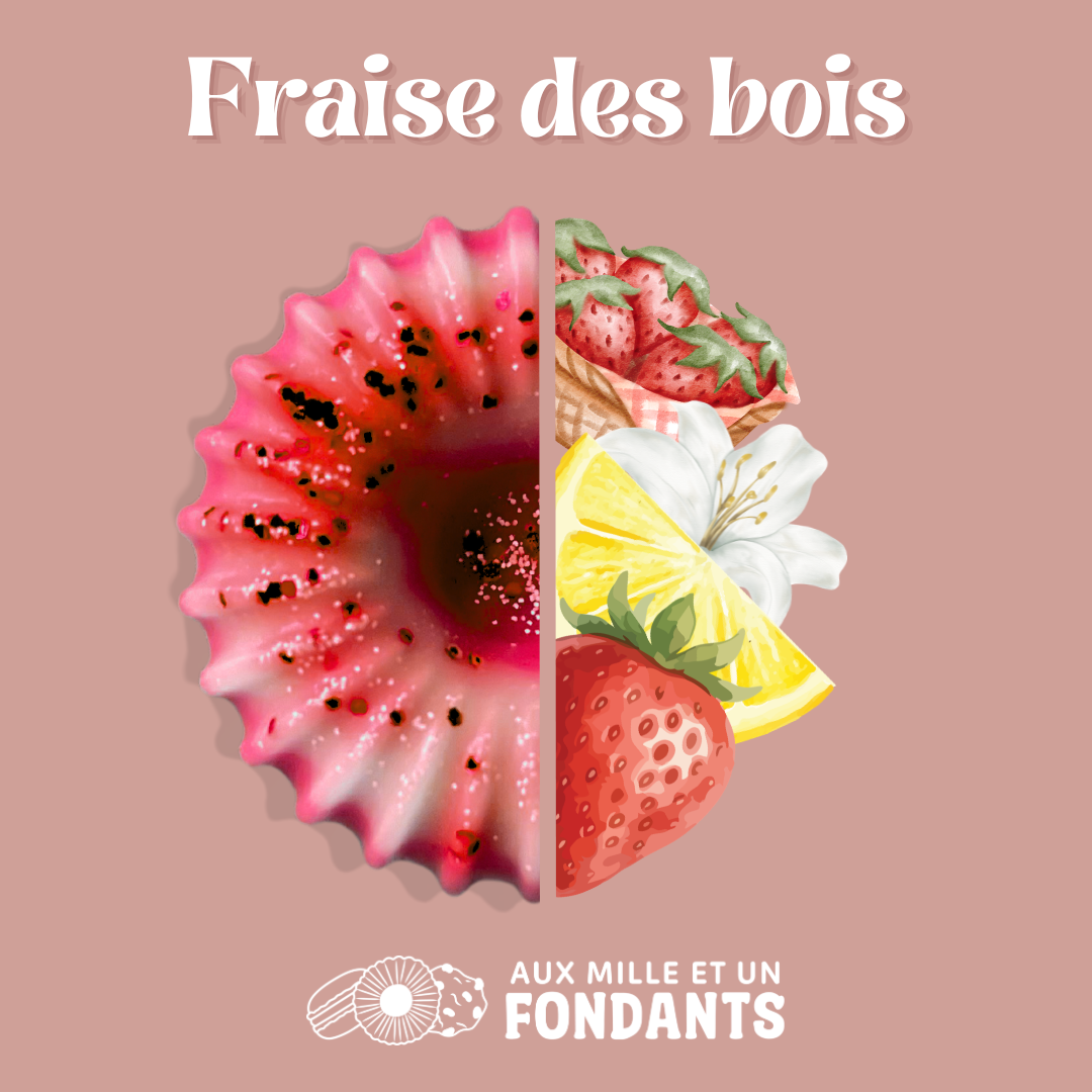 Fraise des bois