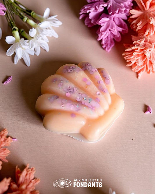 Petit coquillage "Fraicheur du jardin"