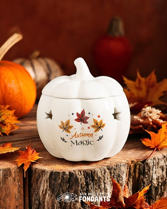 Citrouille automne magique