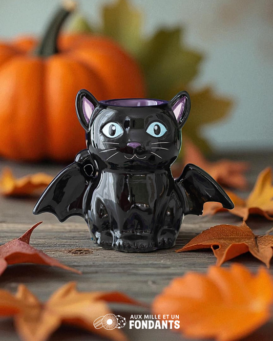 Chauve souris
