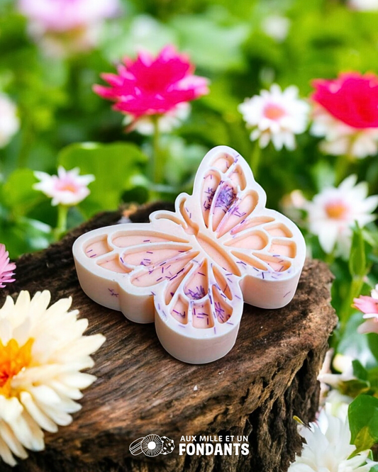 Papillon "Souvenirs d'enfance"