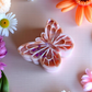 Papillon "Framboise caramel"