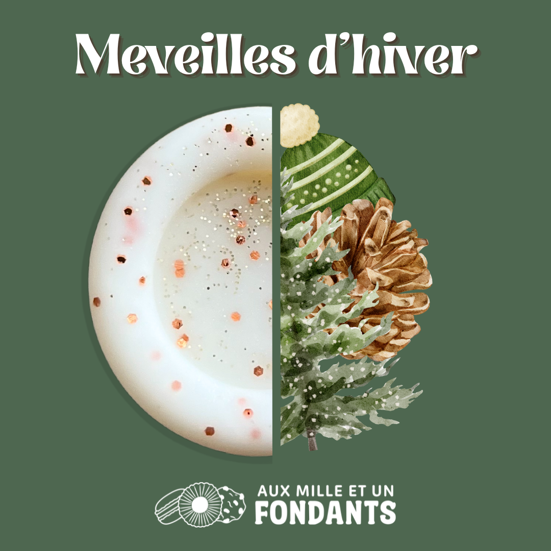 Merveilles d'hiver